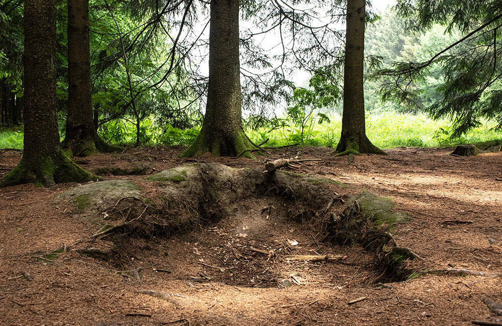 Foxholes of Bois Jacques Foxholes of Bois Jacques