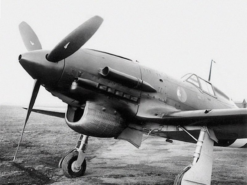 Can you identify this World War II-era Italian warplane?