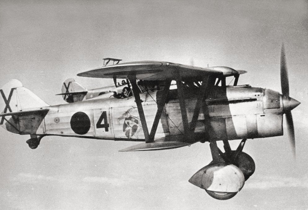 What was the Aviazioni Legionaria (