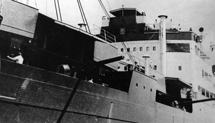 What were auxiliary cruisers most commonly used for in World War II?